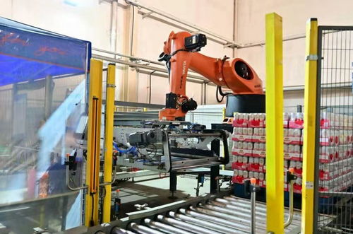 餐桌上的食品安全无小事——走进沈阳绿色工厂探访神秘鸭苗生产线